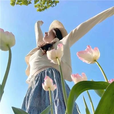 芭拉芭拉樱之花